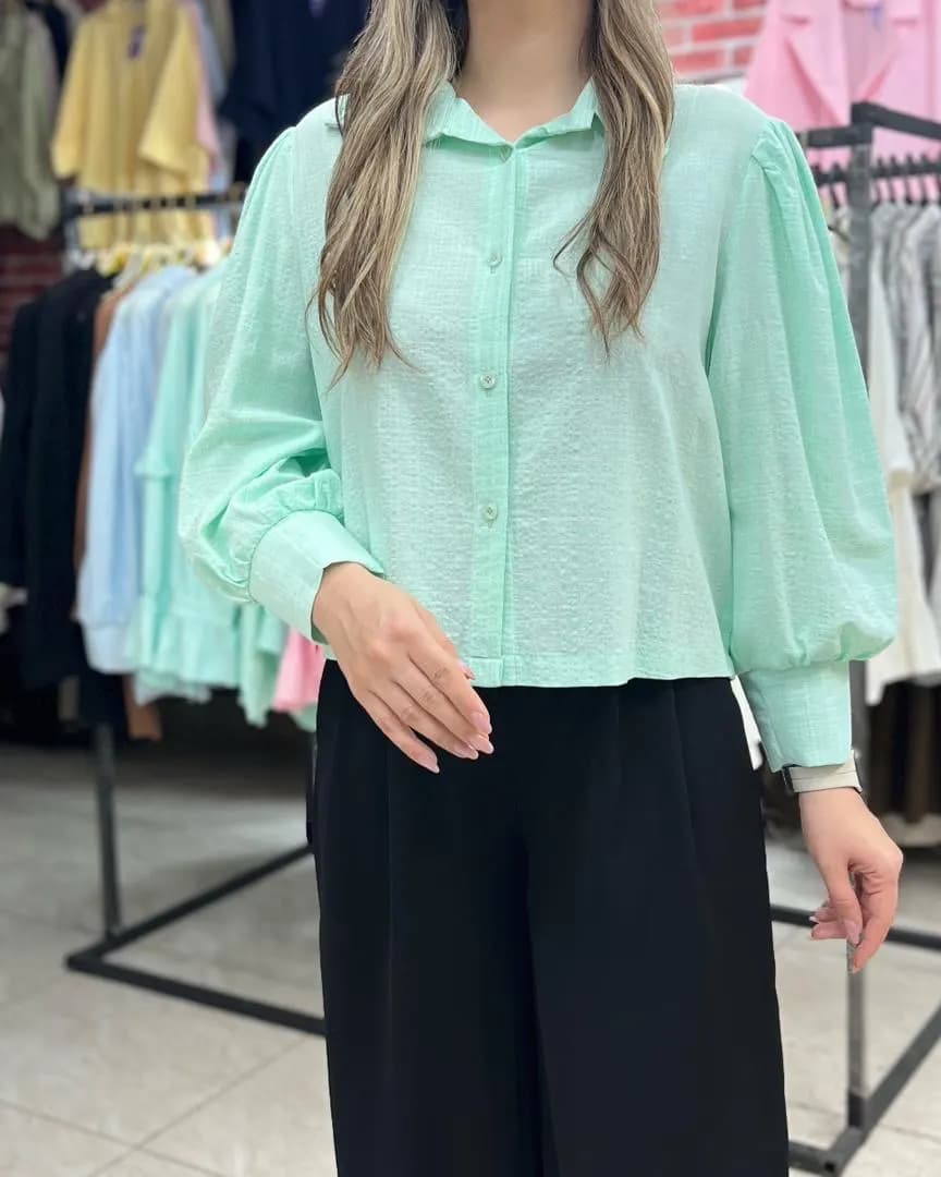 شومیز بیسیک رنگی مدل رزا